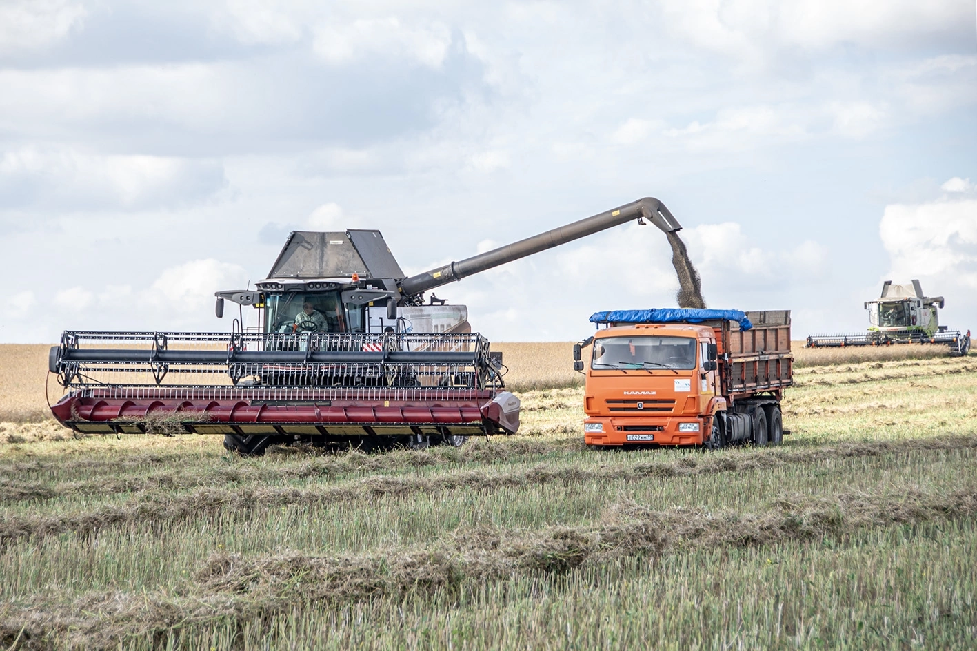 Полған на айас кӱннең тузаланарға харасчалар Полған на айас кӱннең тузаланарға харасчалар